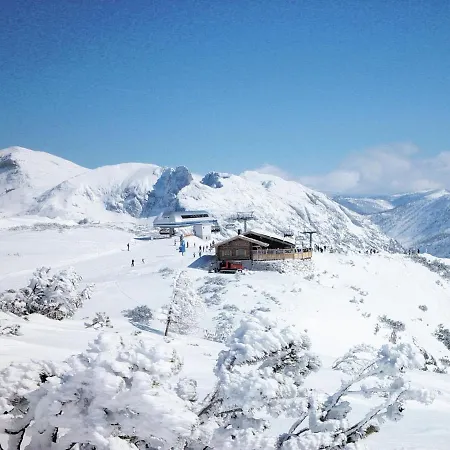 Lejlighed Cozy Holiday In Bad Mitterndorf In Beautiful Surroundings *