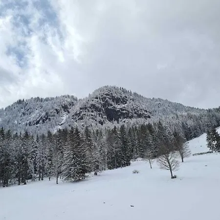 Cozy Holiday In Bad Mitterndorf In Beautiful Surroundings Lejlighed *